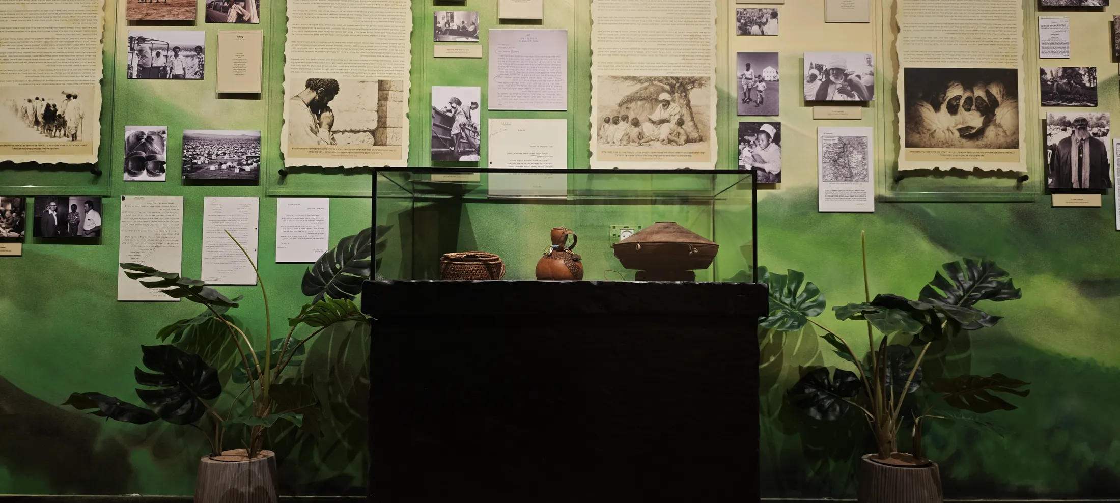 Wide view of the International Cathedra for the Study of Ethiopian Jewry at Ono Academic College, sculpted documentation wall and artefact vitrine, built by Shidrah Studio